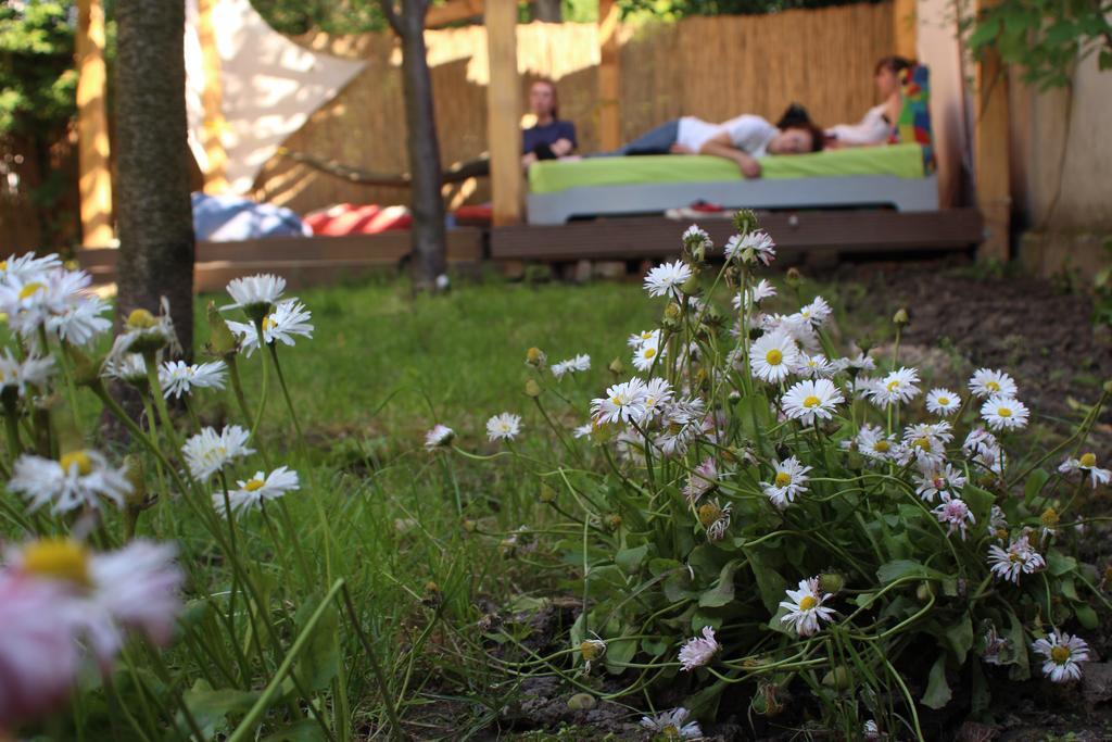 Hostel Costel Timisoara Ngoại thất bức ảnh